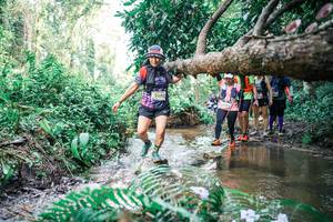 BIB: 
                            <button type="button" onclick="openModal(25477780)" class="btn btn-primary btn-sm float-right btn-popup" data-toggle="modal" data-target=".modal-high-quality">
                        <i class="fas fa-shopping-cart"></i> Add to Cart
                    </button>
                                            <button type="button" onclick="isThisMe(25477780, true)" class="btn btn-success btn-sm float-right btn-popup btn-isme hidden" data-toggle="tooltip" data-placement="bottom" title="นี่คือรูปของคุณใช่ไหม คลิกที่นี่เพื่อเอาเข้าอัลบั้ม">
                        <i class="fas fa-plus"></i> Add to album
                    </button>
                    <button type="button" onclick="isThisMe(25477780, false)" class="btn btn-warning btn-sm float-right btn-popup btn-isnotme hidden">
                        <i class="fas fa-ban"></i> Remove from album
                    </button>